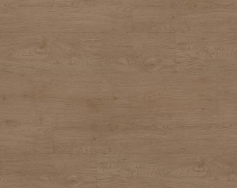 [200111120_49] Taralay Initial Compact - 0980 Twist Brown